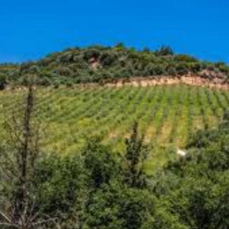 Mystras Inn Eksteriør billede